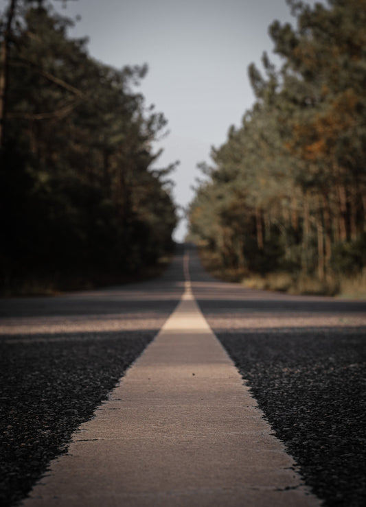 Comment organiser un rallye touristique automobile ?